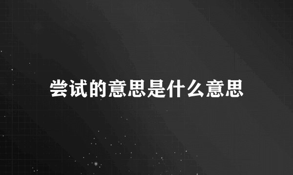 尝试的意思是什么意思