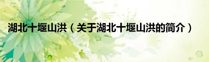 湖北十堰山洪（关于湖北十堰山洪的简介）