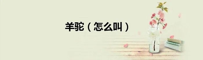 羊驼（怎么叫）