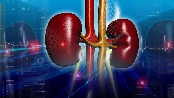 人体器官五脏六腑器官分布图解说 人体内脏器官是如何分布的?