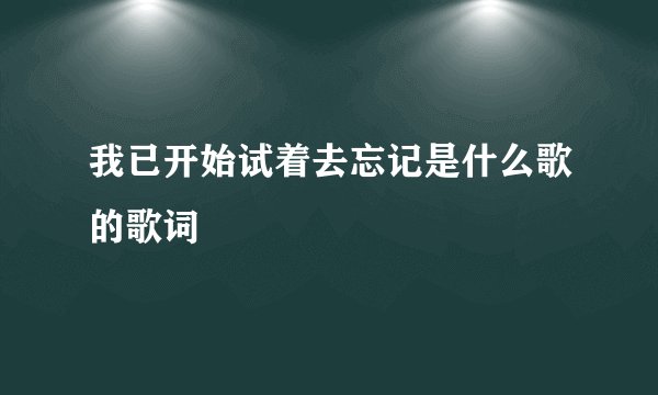 我已开始试着去忘记是什么歌的歌词