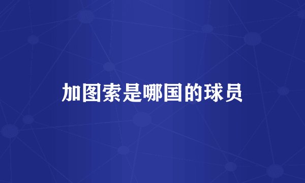 加图索是哪国的球员