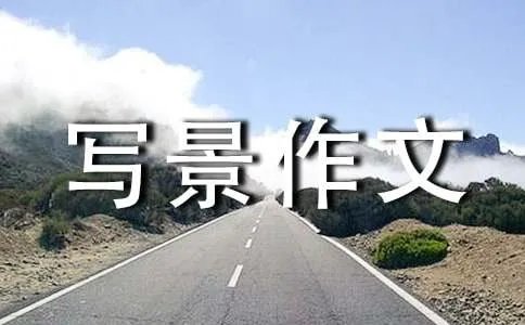 写景作文精彩片段