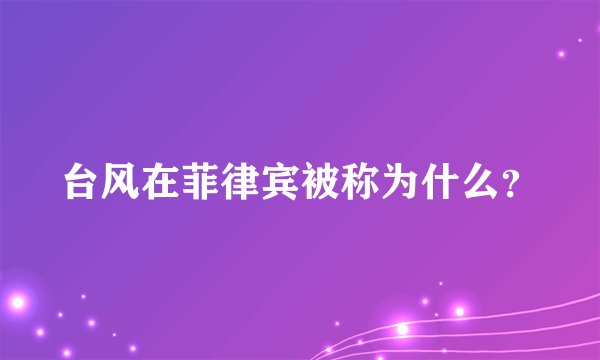 台风在菲律宾被称为什么？
