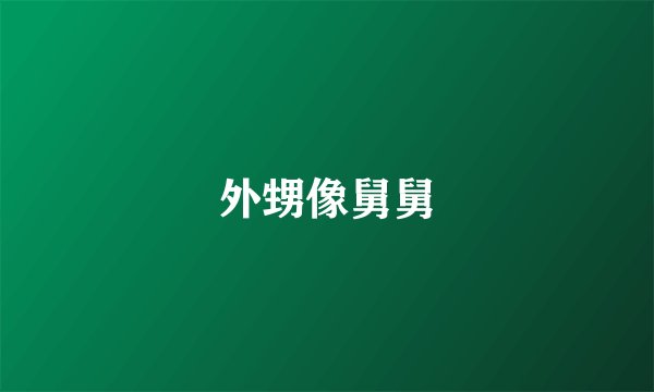 外甥像舅舅