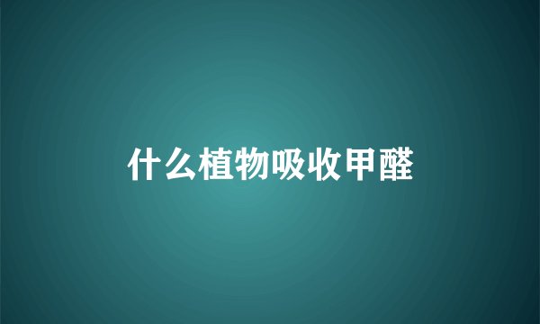 什么植物吸收甲醛