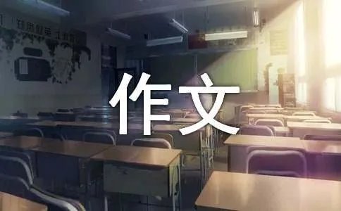 又一年作文800字
