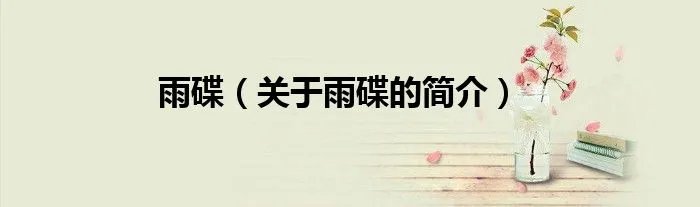 雨碟（关于雨碟的简介）
