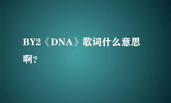BY2《DNA》歌词什么意思啊?