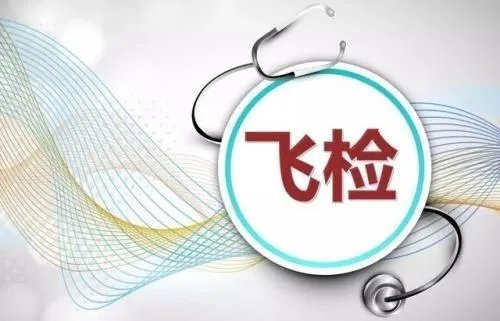飞行检查是什么意思
