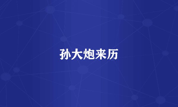 孙大炮来历