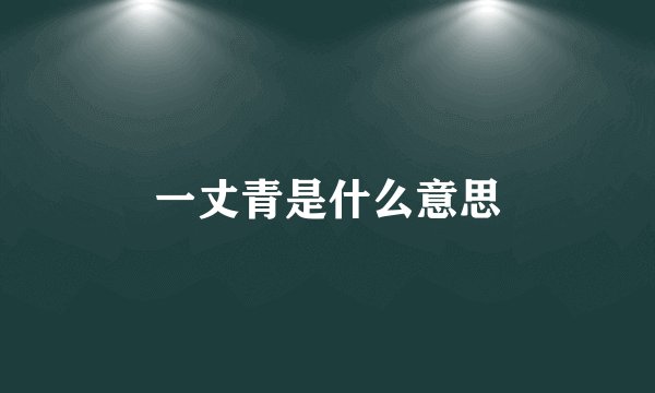 一丈青是什么意思