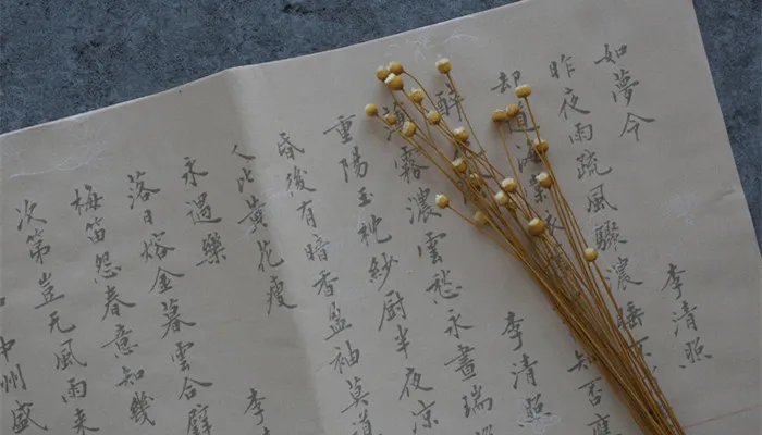 三个鹿念什么
