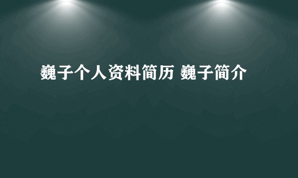 巍子个人资料简历 巍子简介