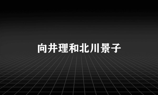 向井理和北川景子