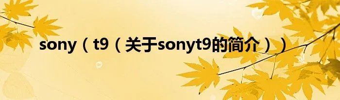 sony（t9（关于sonyt9的简介））