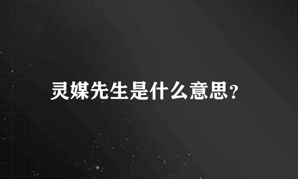 灵媒先生是什么意思？
