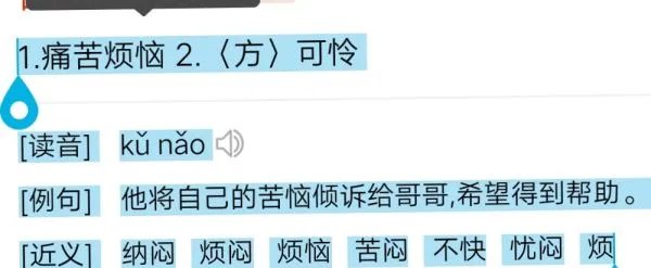 苦恼的意思？