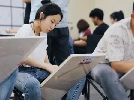 美术生可以报考的大学吗？