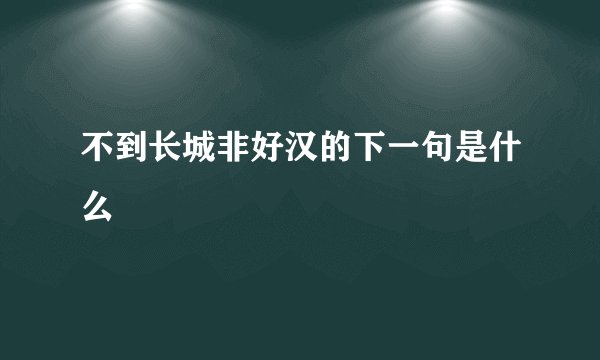 不到长城非好汉的下一句是什么