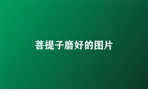 菩提子磨好的图片