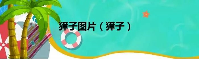 獐子图片（獐子）