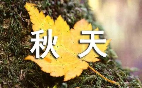 秋天的果实作文