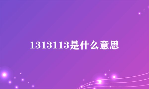 1313113是什么意思