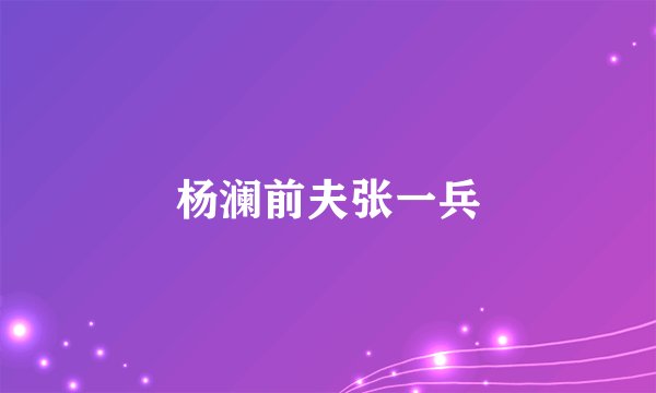杨澜前夫张一兵