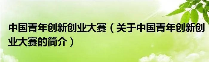 中国青年创新创业大赛(关于中国青年创新创业大赛的简介)