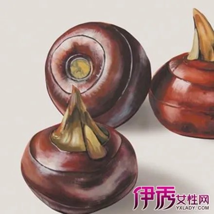 荸荠图片介绍