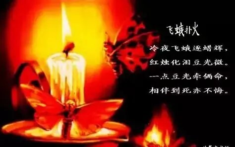 飞组词有哪些
