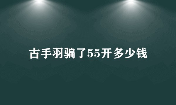 古手羽骗了55开多少钱