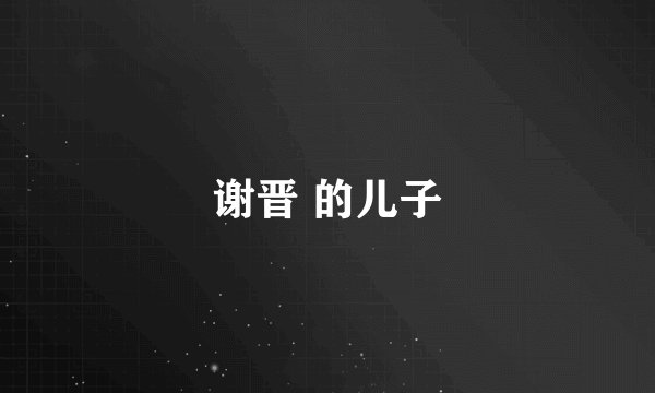 谢晋 的儿子