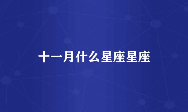 十一月什么星座星座
