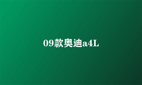09款奥迪a4L
