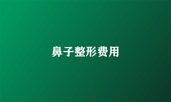 鼻子整形费用