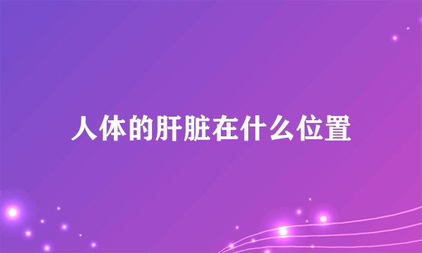 人体的肝脏在什么位置