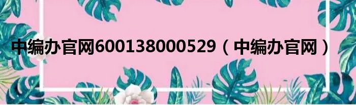中编办官网600138000529（中编办官网）