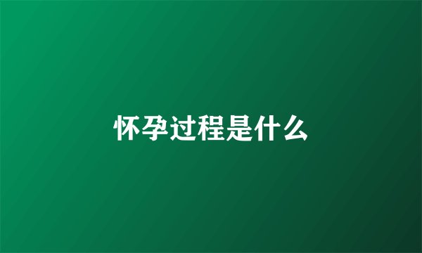 怀孕过程是什么