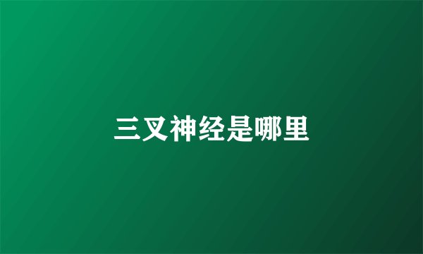 三叉神经是哪里