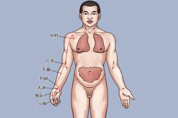 手掌经络图按摩