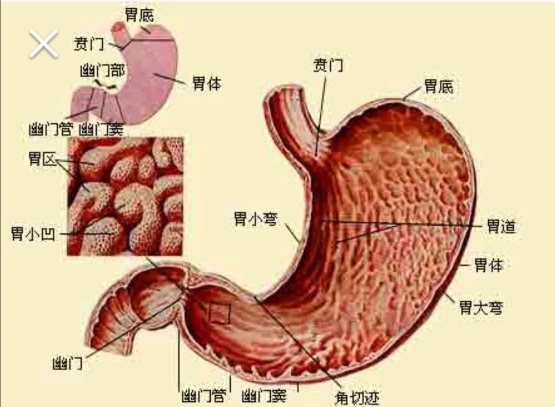 消化性溃疡