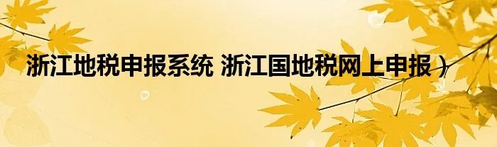 浙江地税申报系统 浙江国地税网上申报）
