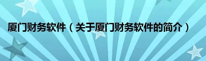 厦门财务软件（关于厦门财务软件的简介）