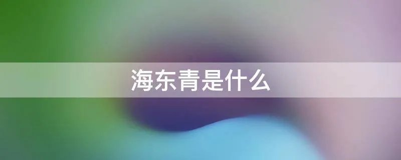 海东青是什么