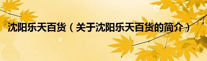 沈阳乐天百货（关于沈阳乐天百货的简介）