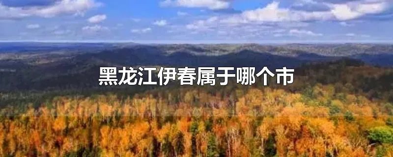 黑龙江伊春属于哪个市