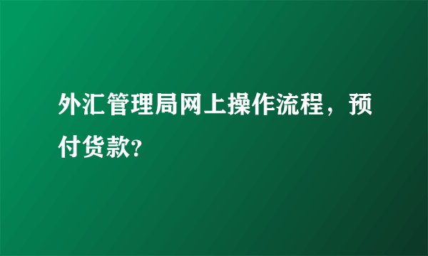 外汇管理局网上操作流程,预付货款?