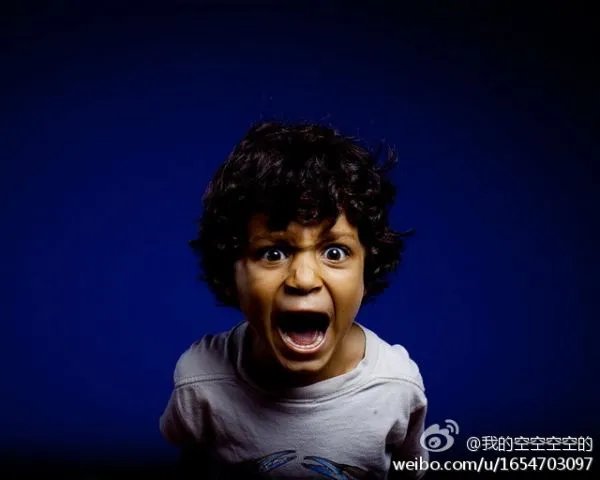 scream 什么意思